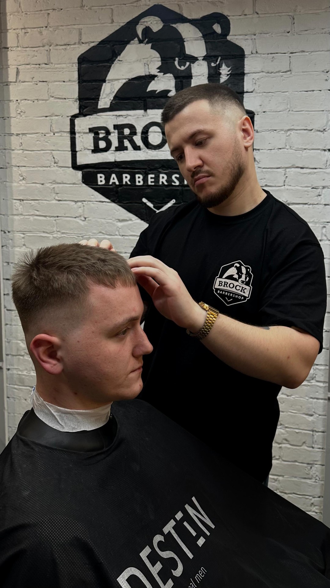 master strizhet i breet v brock na pobeditelej 65 zapisatsya