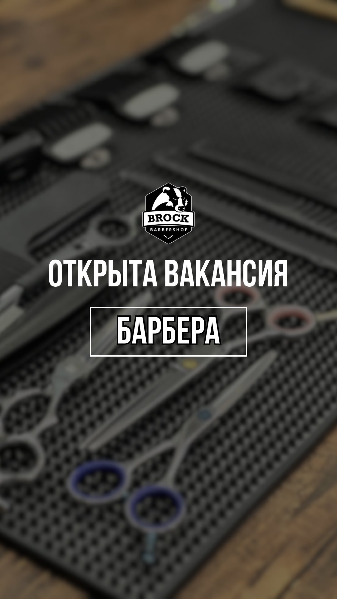 МЫ ИЩЕМ БАРБЕРА 1 my ishhem barbera