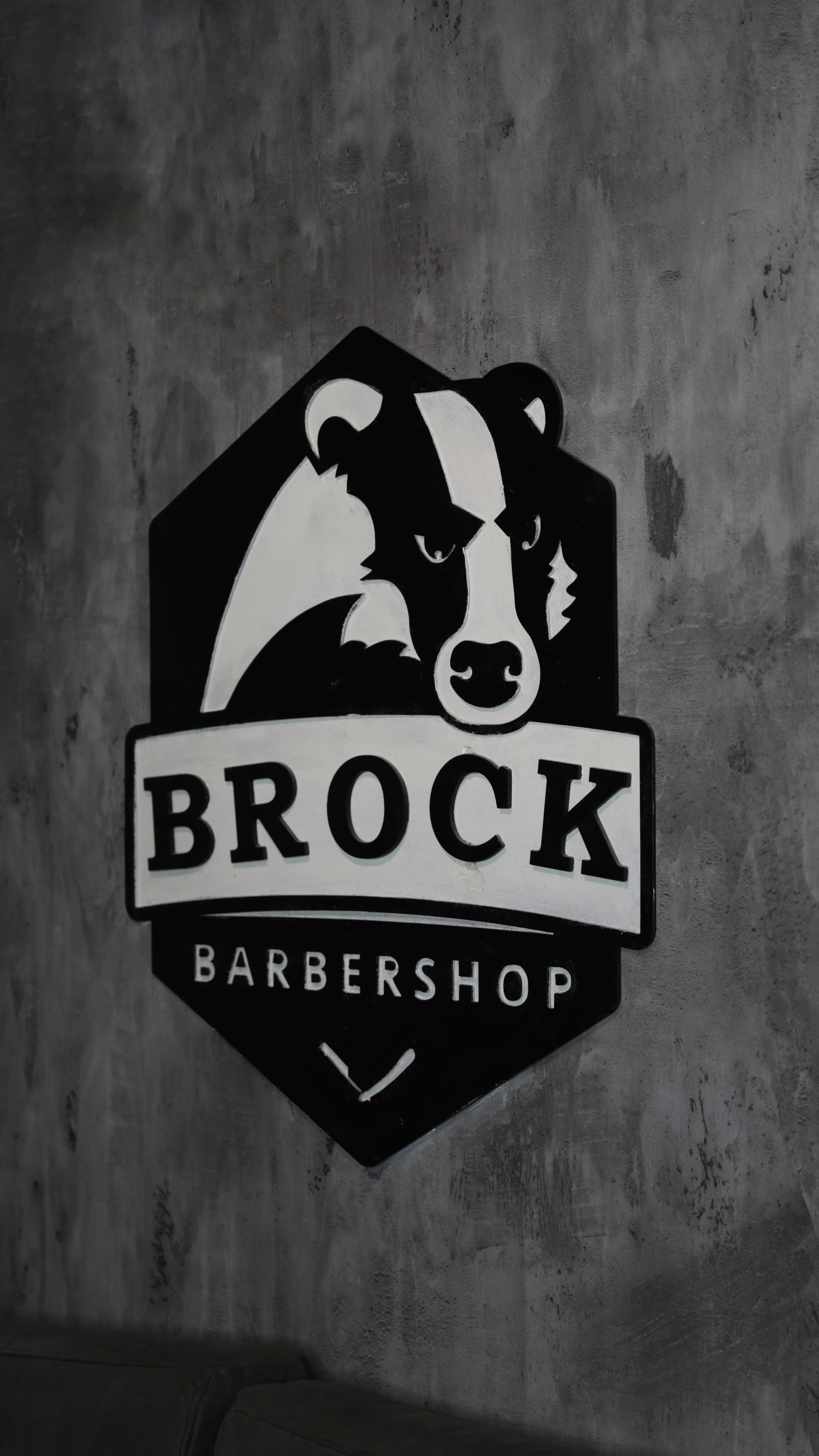 1763316310 148 brock strizhki